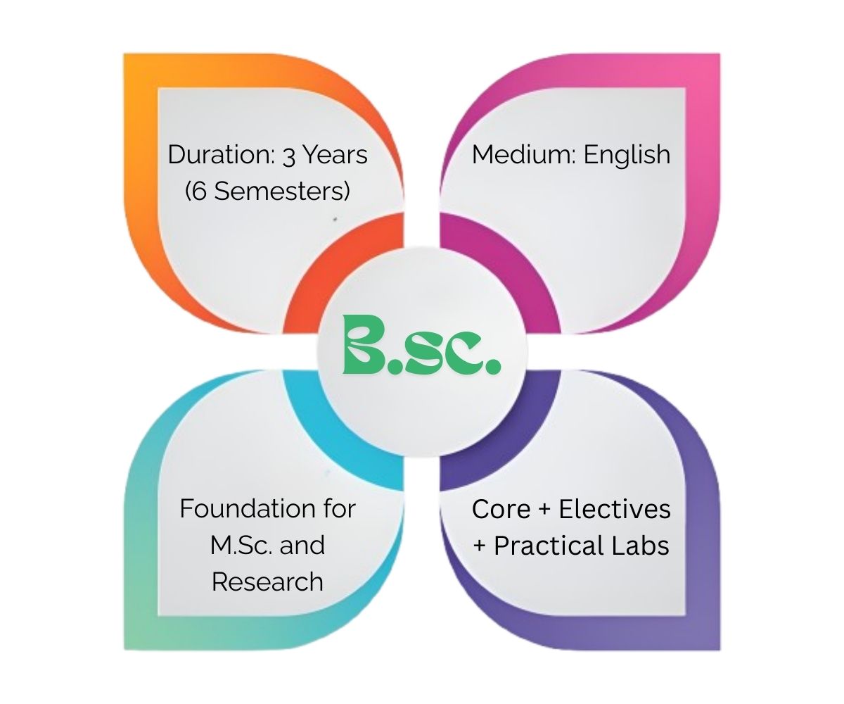 B.Sc. curriculum infographic